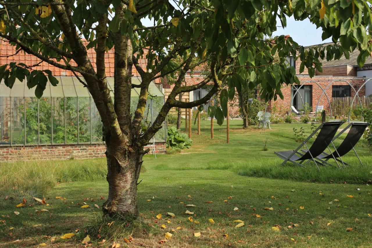 Steenwerck Chambres D'Hotes Herbes Folles المظهر الخارجي الصورة