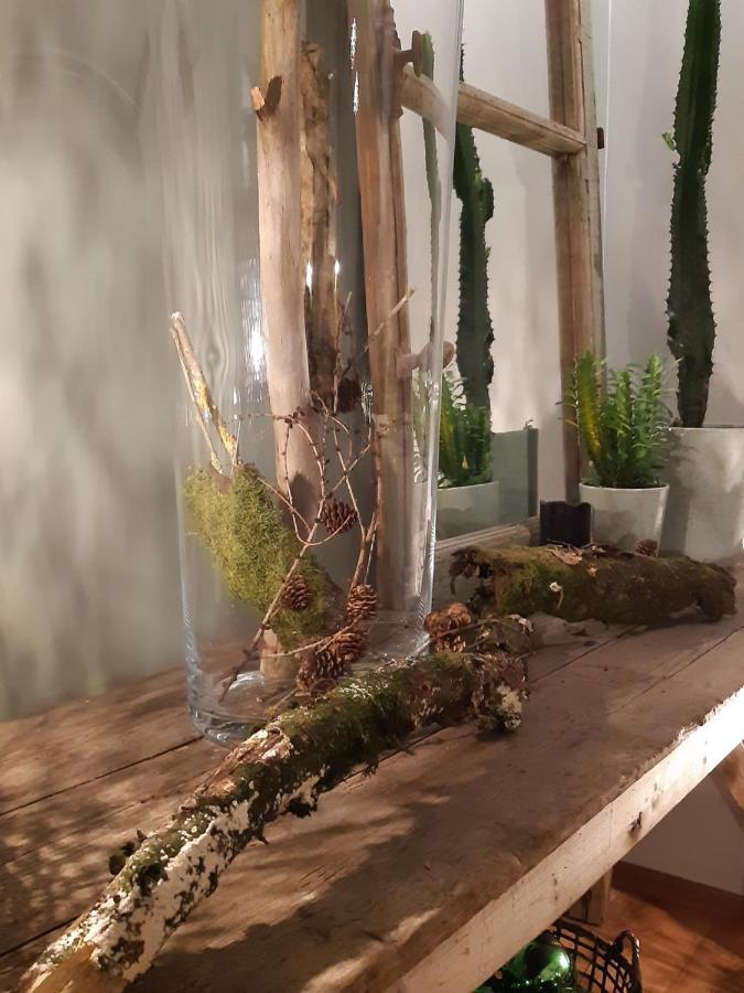 Steenwerck Chambres D'Hotes Herbes Folles المظهر الخارجي الصورة